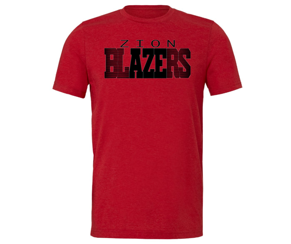 Blazer Strips