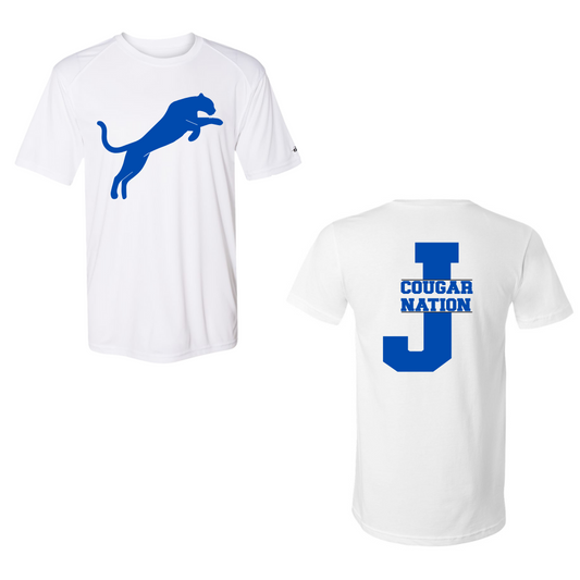 Jumping Cougar